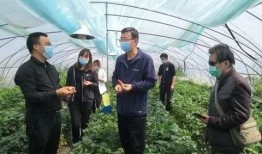 西北农林爆料最新消息,重大科研成果引发行业关注！”